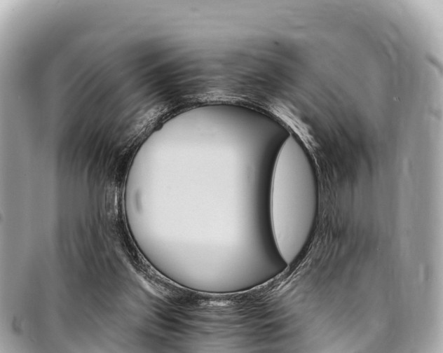X0000095520157200712140917