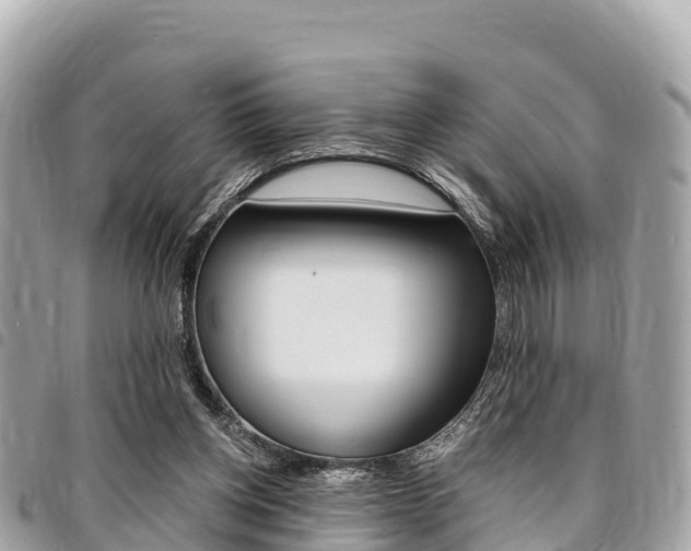 X0000095520158200712140917