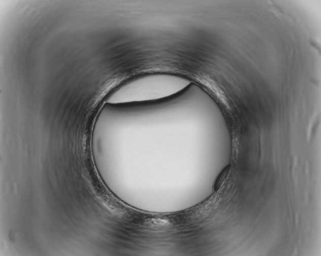 X0000095520159200712140917