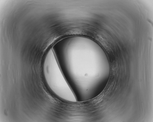 X0000095520160200712140917