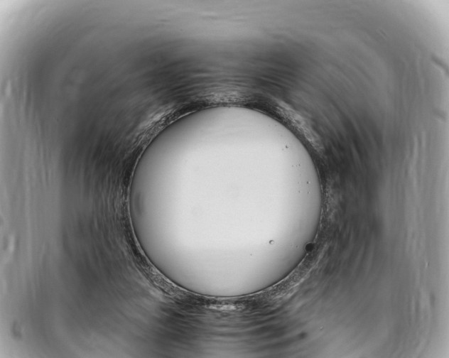 X0000095520161200712140917