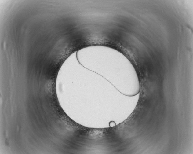 X0000095520162200712140917