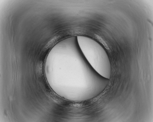 X0000095520163200712140917