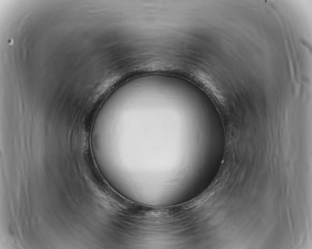 X0000095520164200712140917