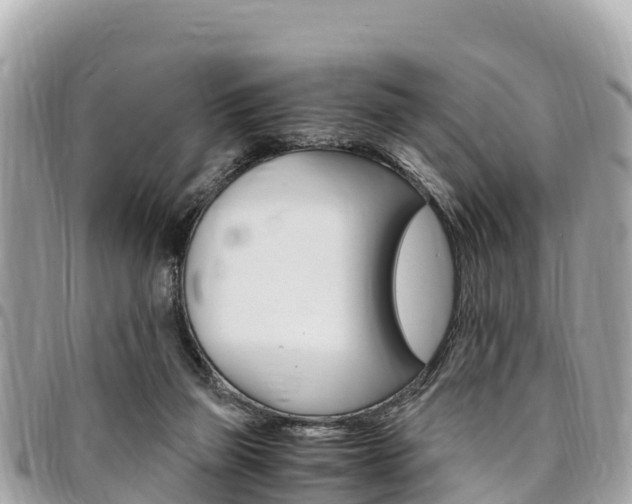 X0000095520165200712140917