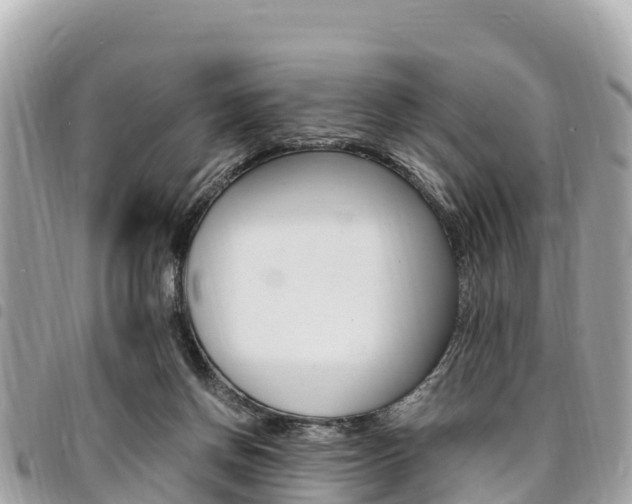 X0000095520166200712140917