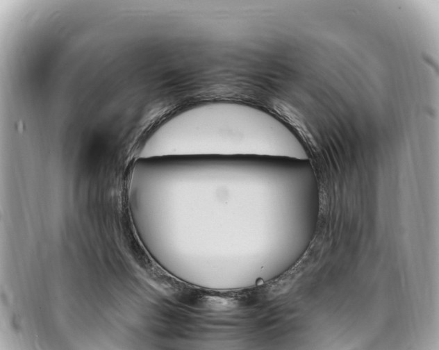 X0000095520167200712140917