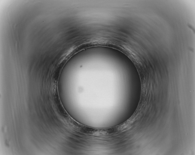 X0000095520168200712140917