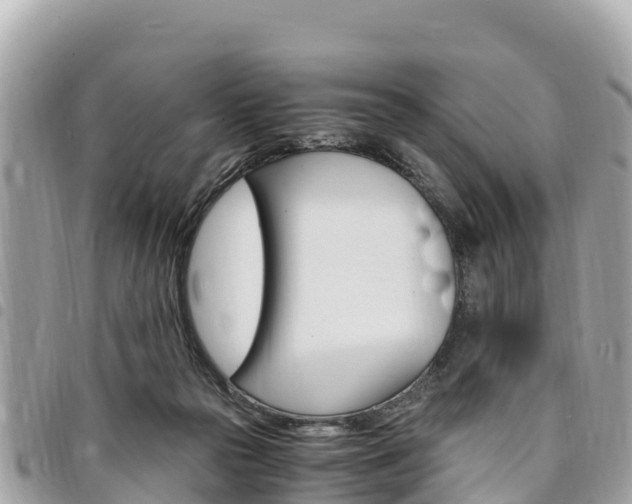 X0000095520169200712140917