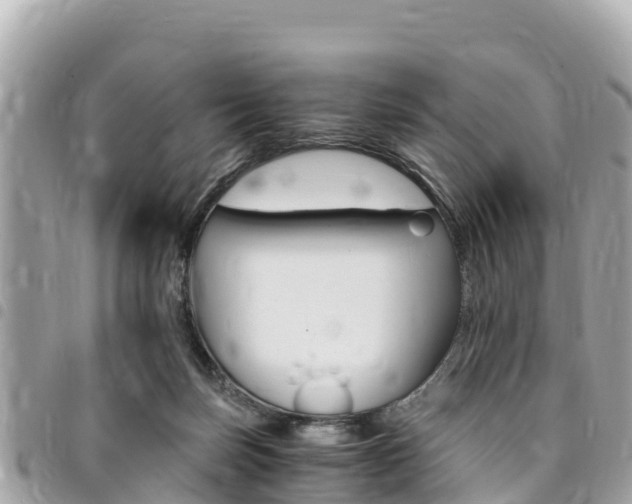X0000095520171200712140917
