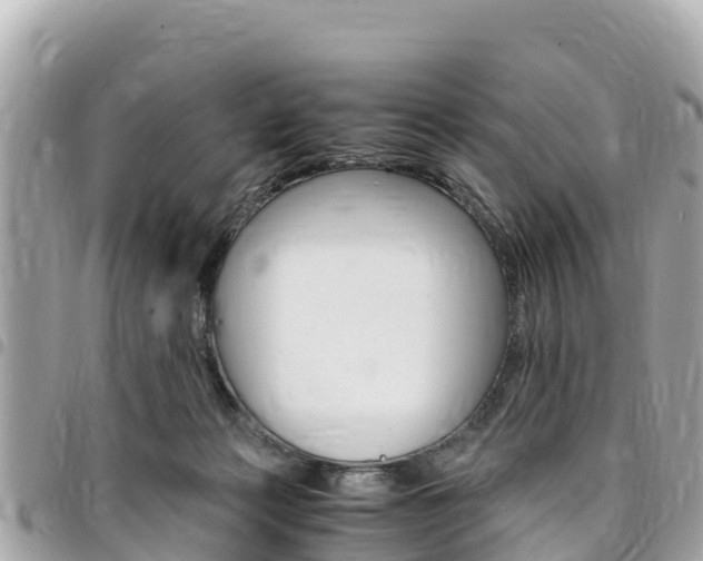 X0000095520173200712140917