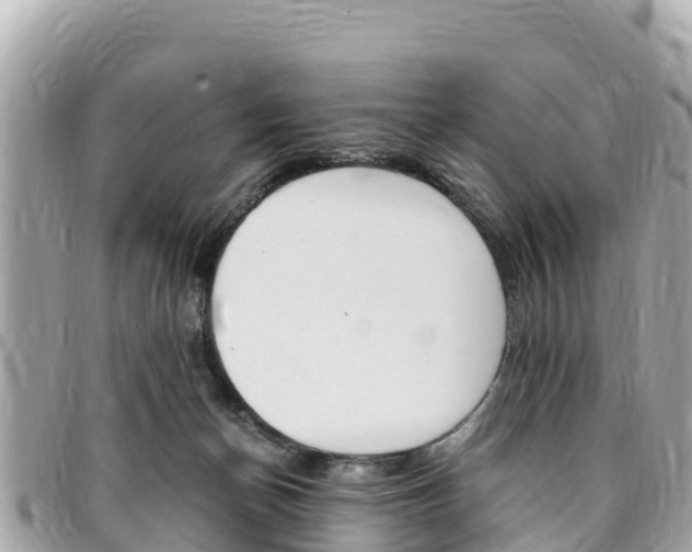 X0000095520174200712140917
