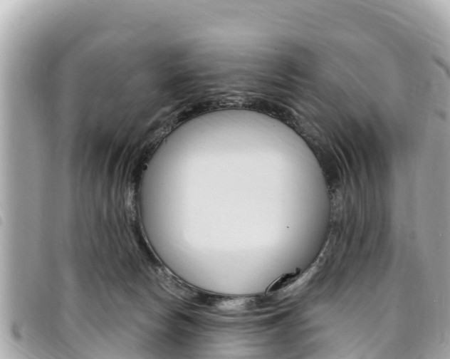 X0000095520178200712140918