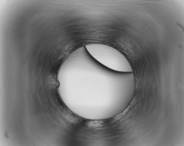 X0000095520179200712140918