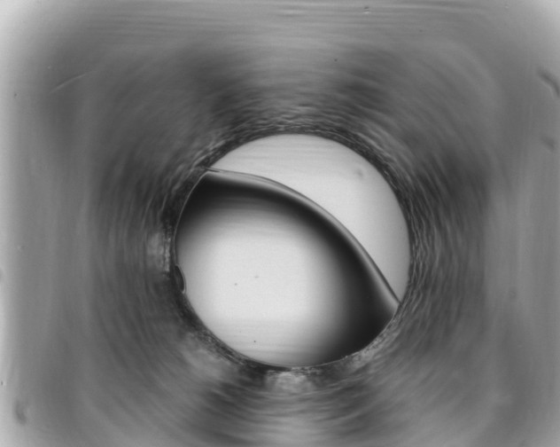 X0000095520180200712140918