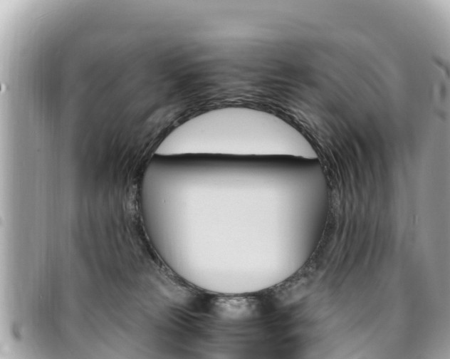 X0000095520181200712140918