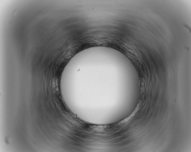 X0000095520182200712140918