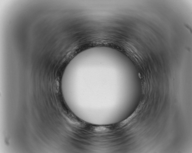 X0000095520183200712140918