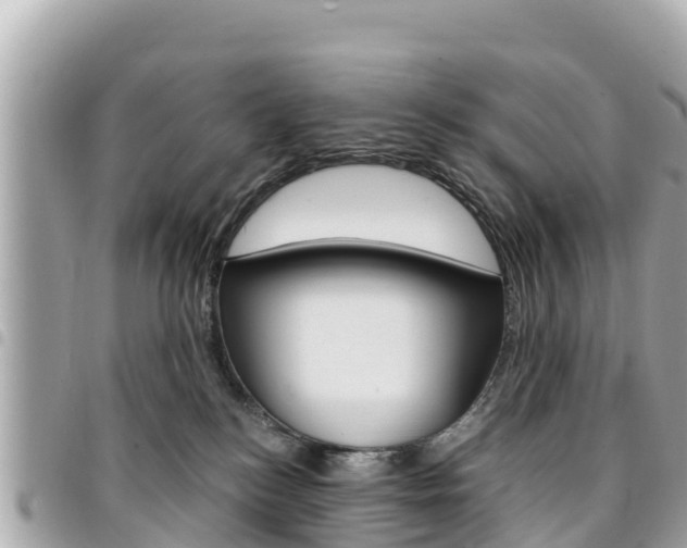 X0000095520184200712140918