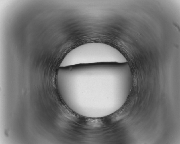 X0000095520185200712140918