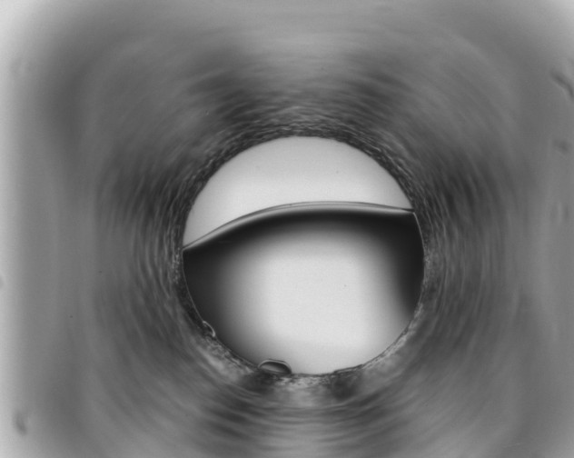 X0000095520186200712140918