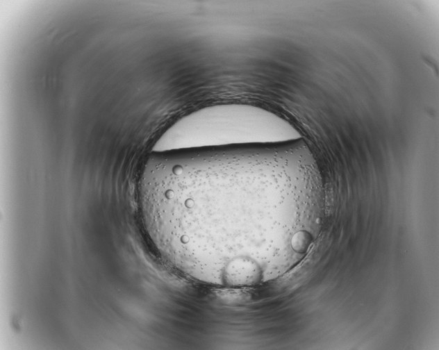 X0000095520187200712140918