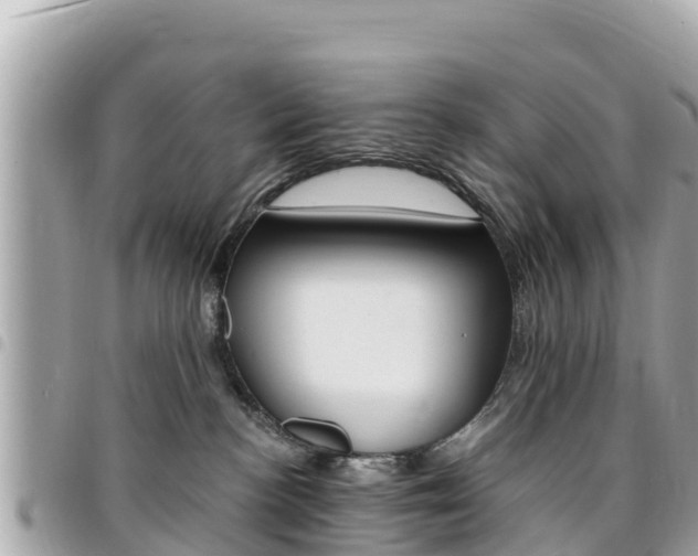 X0000095520188200712140918