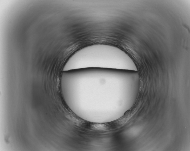 X0000095520189200712140918