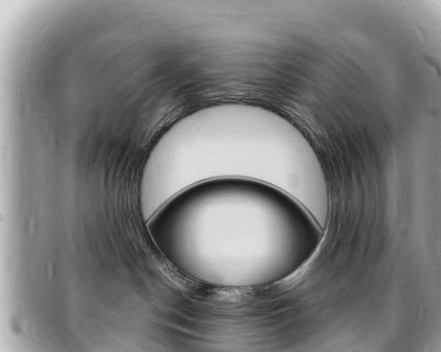 X0000095520190200712140918