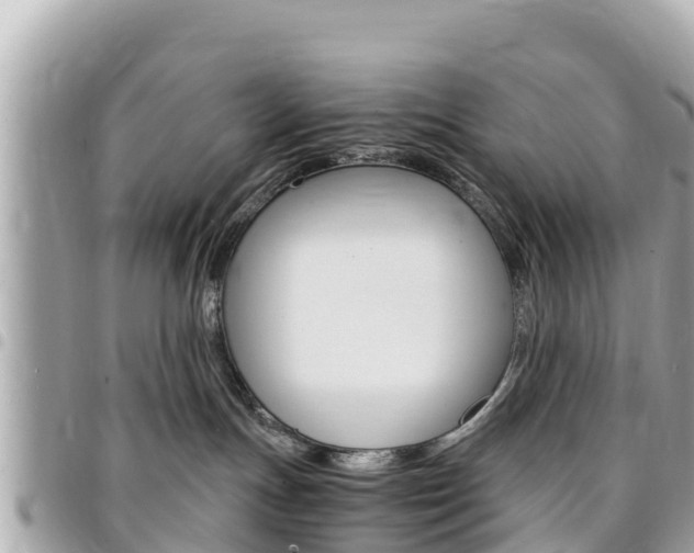 X0000095520191200712140918