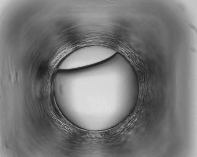 X0000095520194200712140917