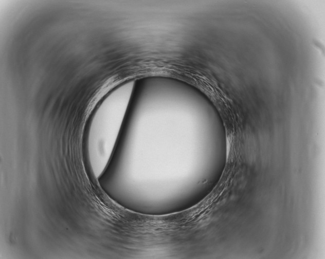 X0000095520195200712140917