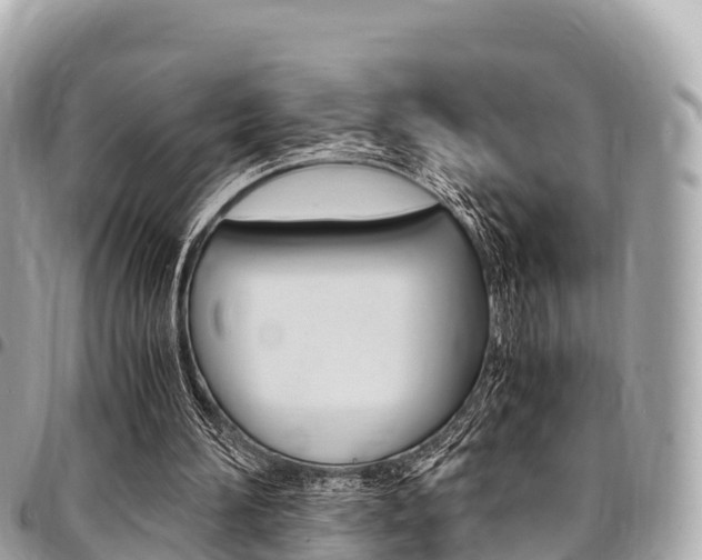 X0000095520196200712140917