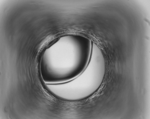 X0000095520197200712140917