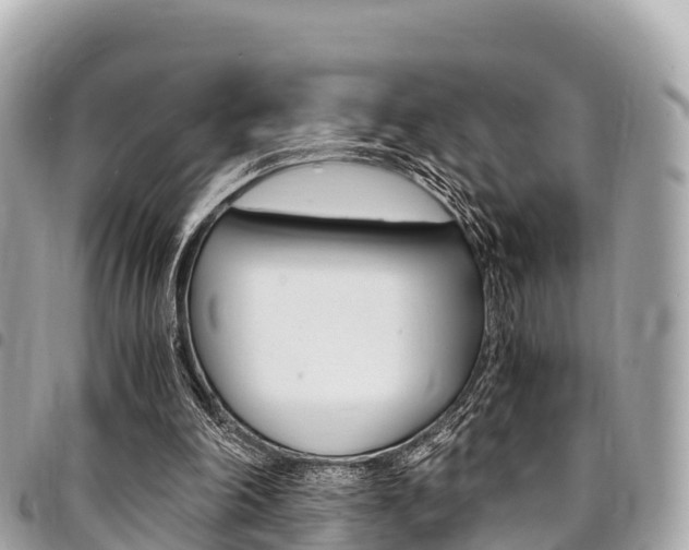 X0000095520198200712140917