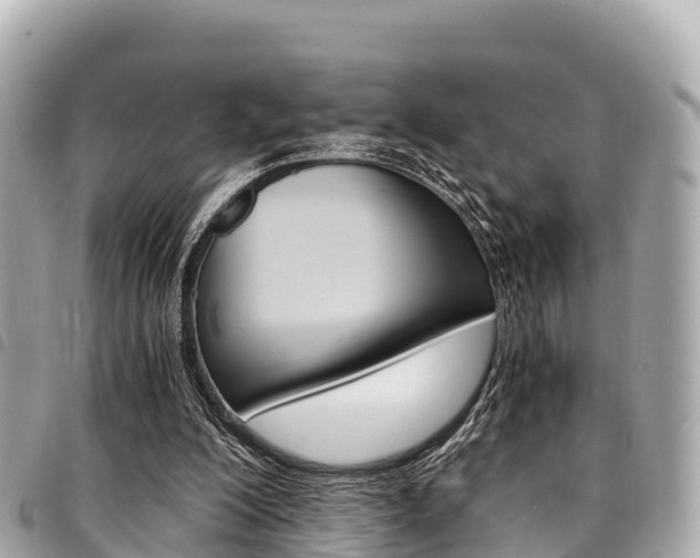 X0000095520200200712140917