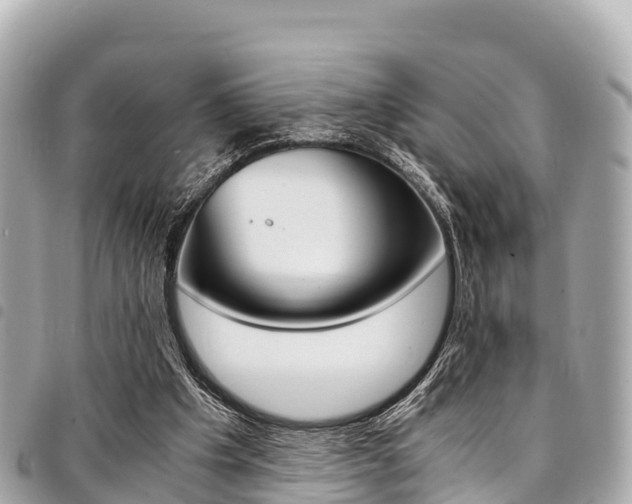 X0000095520201200712140917