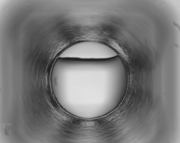 X0000095520202200712140917