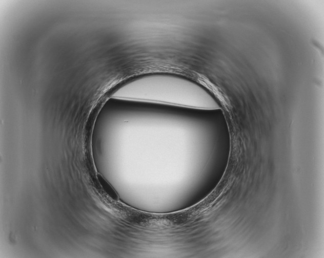 X0000095520203200712140917