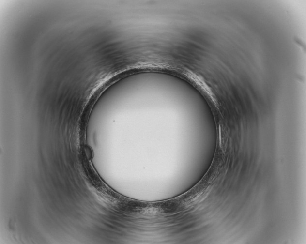 X0000095520204200712140917