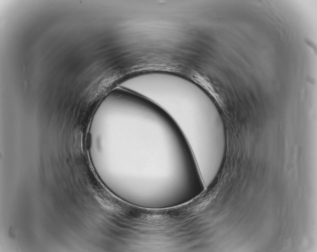 X0000095520205200712140917