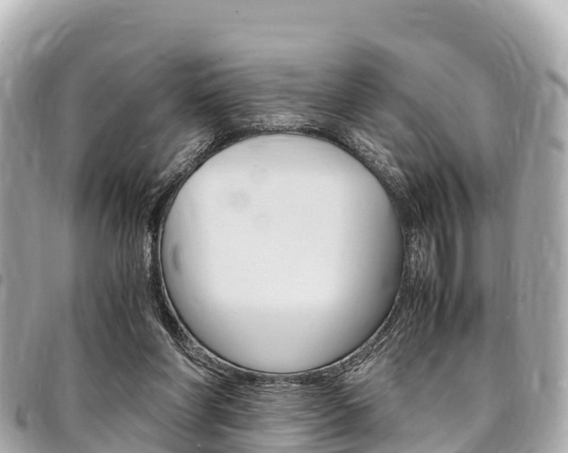 X0000095520206200712140917