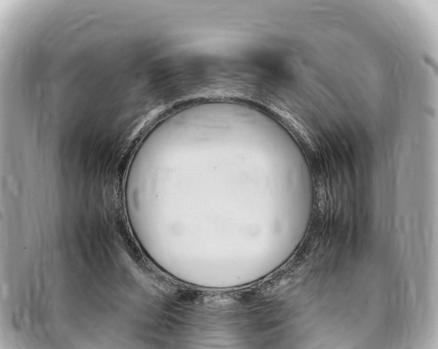 X0000095520208200712140917