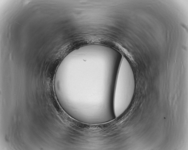 X0000095520209200712140917