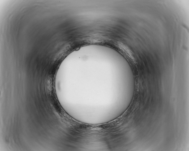 X0000095520210200712140917
