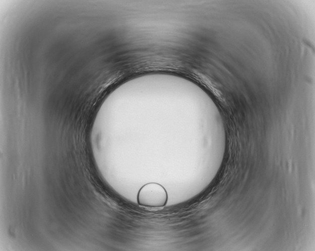 X0000095520211200712140917