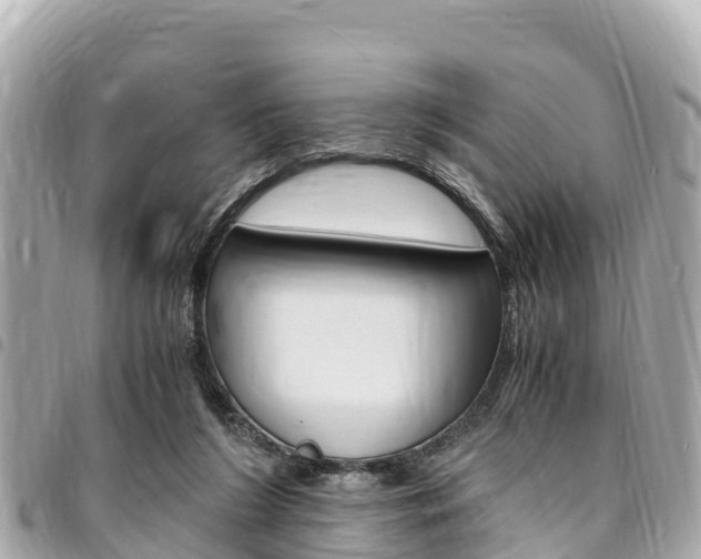 X0000095520212200712140917