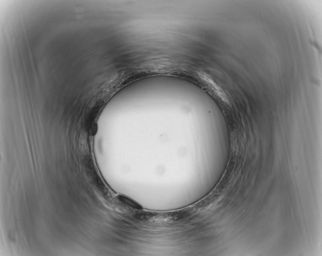 X0000095520213200712140917