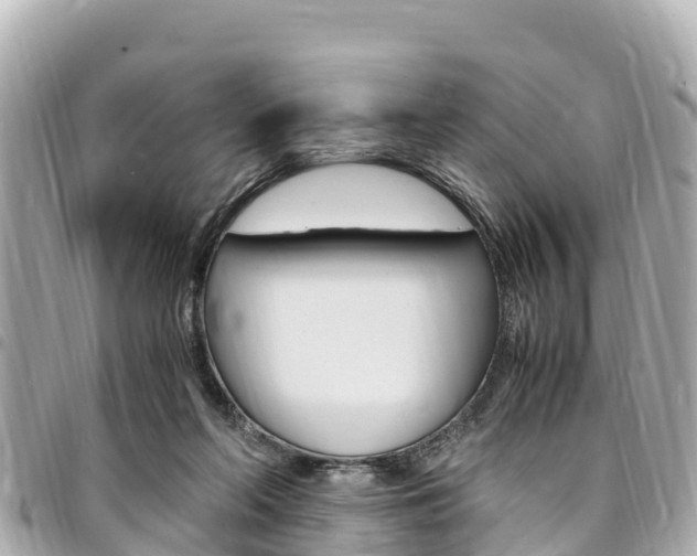 X0000095520214200712140917
