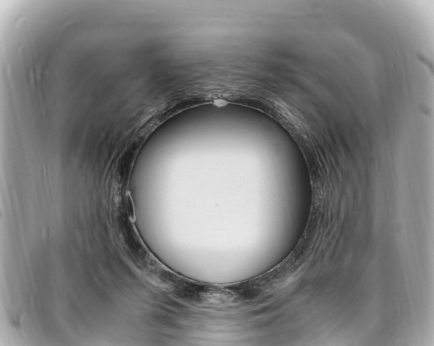 X0000095520215200712140917